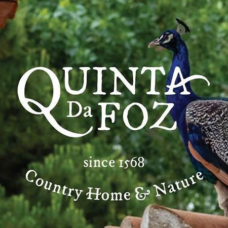 フォス・ド・アレーリョ Quinta Da Fozヴィラ エクステリア 写真