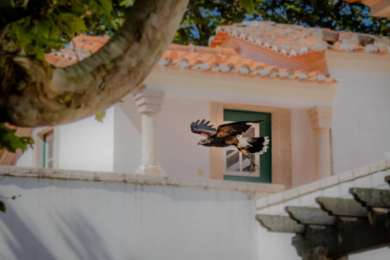 フォス・ド・アレーリョ Quinta Da Fozヴィラ エクステリア 写真